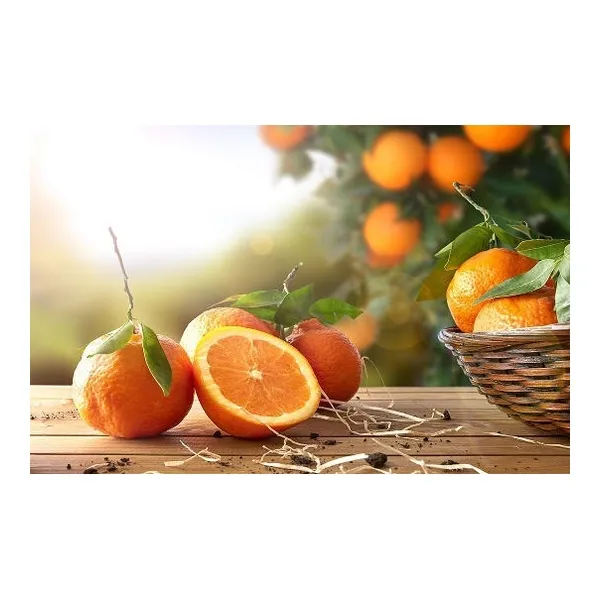 Berocca Energie Pro B12 unidoses