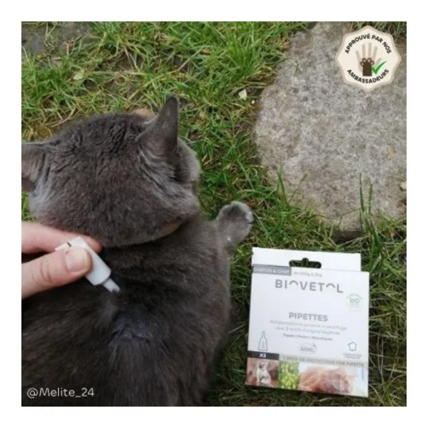 Pipette antiparasitaire chat Biovetol