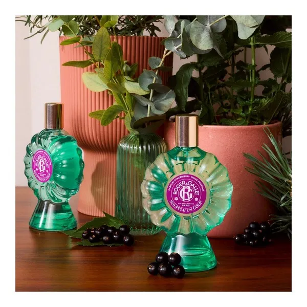 Roger et Gallet parfum d'intérieur