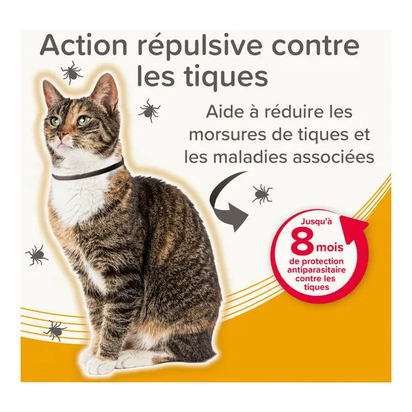 Collier anti puce chat Beaphar