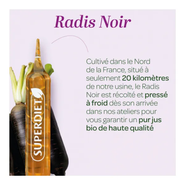 Super Diet Pur jus de Radis noir Bio ampoule