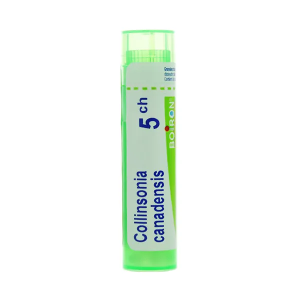 Boiron Collinsonia Canadensis granules