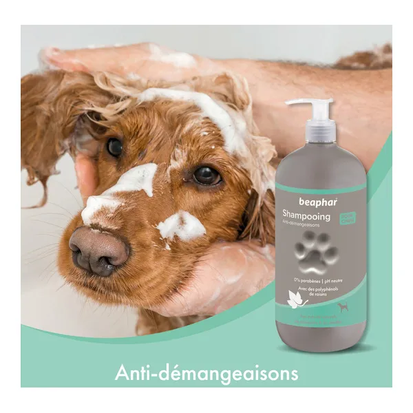 Beaphar Shampooing anti démangeaisons pour chien
