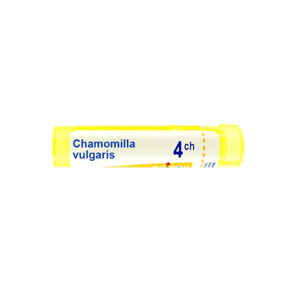 Chamomilla vulgaris granules homéopathie Boiron