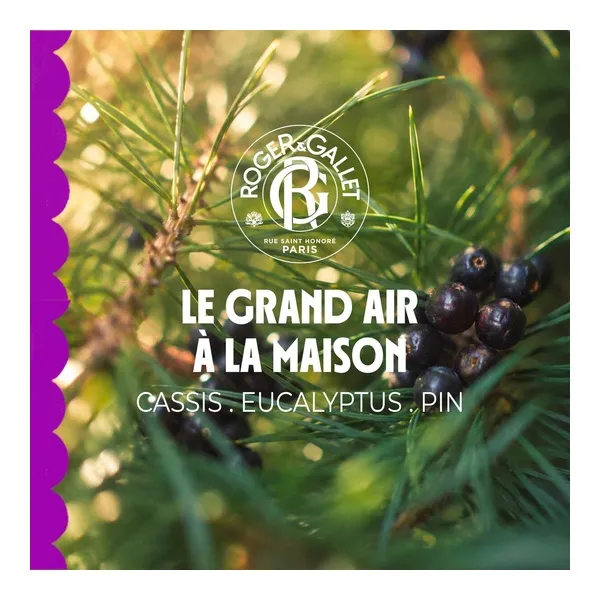 Roger et Gallet parfum d'intérieur