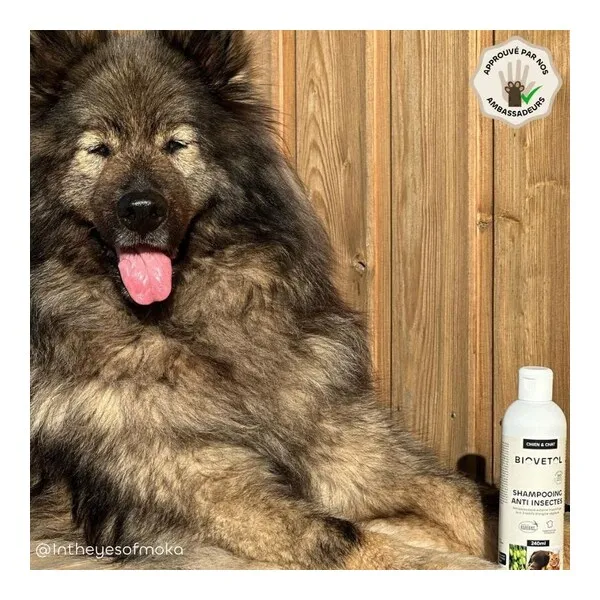 Shampooing anti insectes chien et chat Biovetol