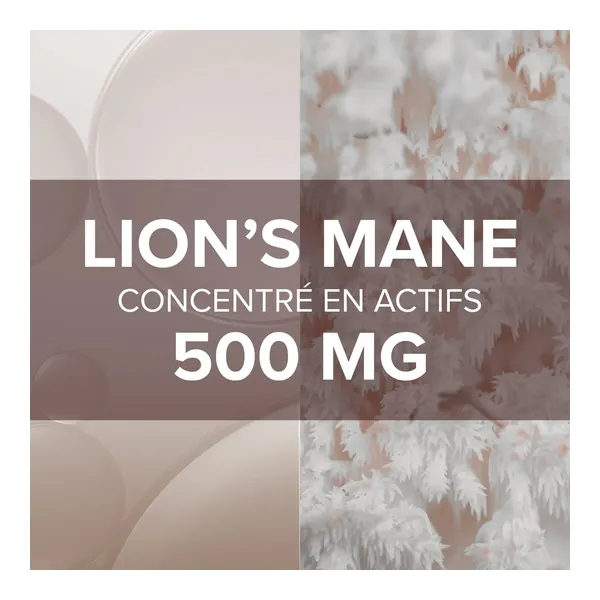 Arkogélules Lion's Mane gélules