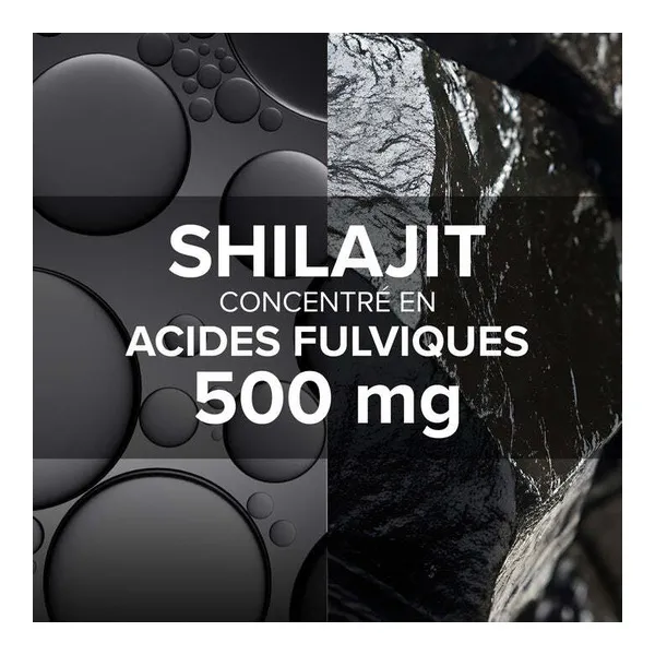 Arkogélules Shilajit gélules