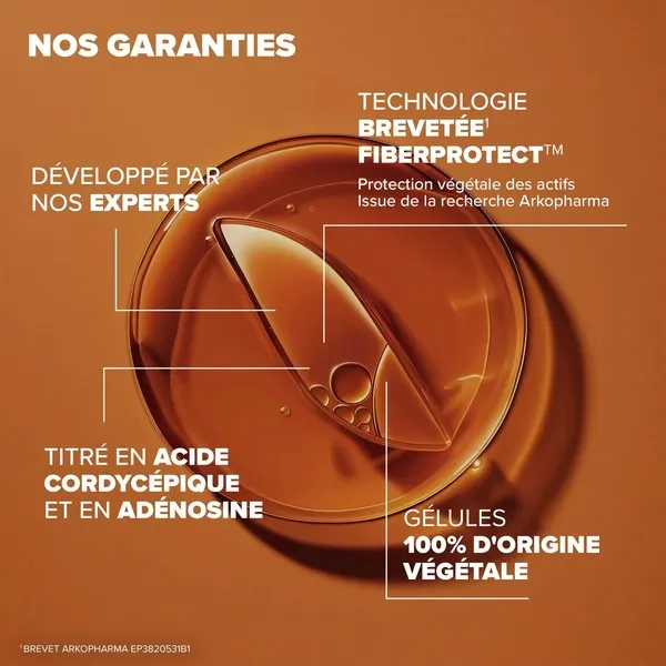 Arkogélules Cordyceps gélules