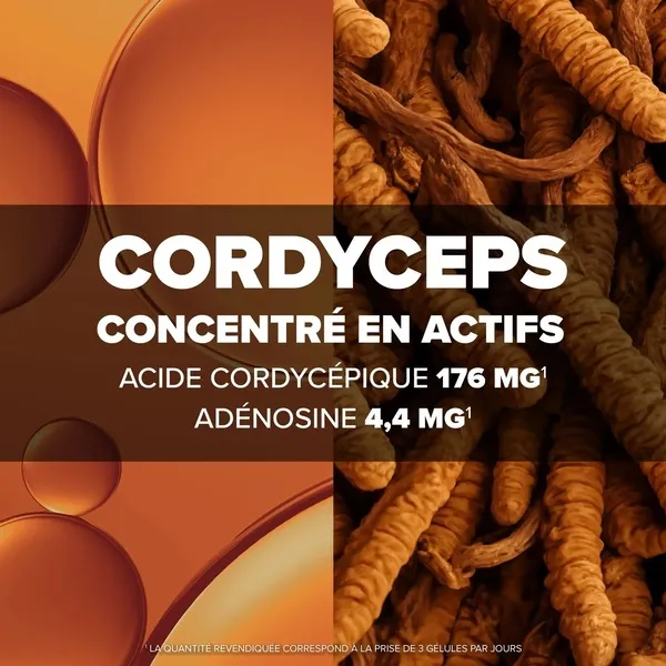 Arkogélules Cordyceps gélules