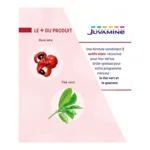 Juvamine Thé vert Guarana gélules