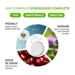 Granions Détox globale comprimés effervescents