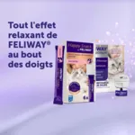 Feliway Happy Snack pour chat sticks