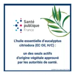 Insect Ecran Actif végétal Répulsif peau