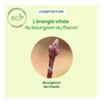 HerbalGem Cassis Bio