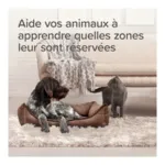 Beaphar Spray répulsif chat chien Keep Off Indoor