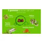 Lehning Pâte suisse Digestion gommes