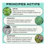 Circles Clear gélules