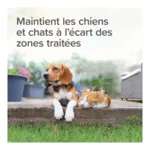Beaphar Répulsif chat chien en granulés Keep Off Outdoor