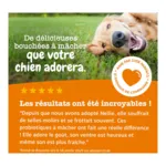 Zesty Paws Digestion Friandises pour chien