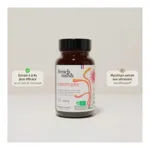 French Mush Cordyceps Bio gelules
