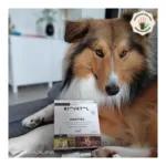 Pipette antiparasitaire chien Biovetol Bio