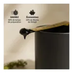 Shilajit Résine pure