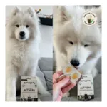 Biovetol bouchées Alt Vers Chien bio