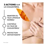 Arkogélules Cholestérol gélules