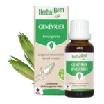 HerbalGem Genévrier Macérat de bourgeons bio