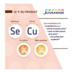 Juvamine Autobronzant gélules