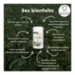 Probiotique chat et chaton Regul Transit Biovetol comprimés