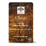 Chaga 600 mg comprimés