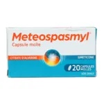 Meteospasmyl capsule mal de ventre