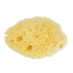 Sanodiane Eponge naturelle de mer