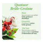 Super Diet Quatuor brûle-graisse bio comprimés