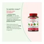 Super Diet Quatuor Circulation Bio gélules