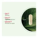 Super Diet Quatuor Circulation Bio gélules