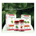 Super Diet Quatuor Circulation Bio gélules