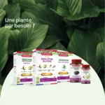 Super Diet Artichaut bio ampoules