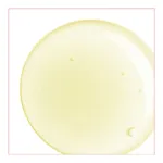 Natessance Huile de Pâquerette Bio