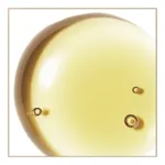 Natessance huile de noisette Bio