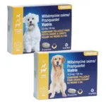 Milbémycine Praziquantel Viatris vermifuge chien