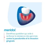 Meridol Parodont Expert dentifrice fluoré