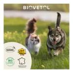 Biovetol Lotion oreilles chien et chat
