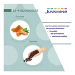 Juvamine Curcuma Pipérine gélules