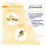 Juvamine Ginseng de Siberie Ginseng d'Asie 890 mg comprimés