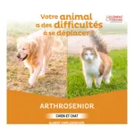 Clément Thékan Arthrosenior chien et chat comprimés