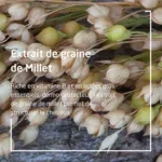 Weleda Millet shampooing extra doux bio