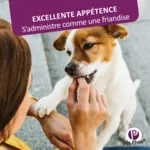 Pet Phos Pelage chien comprimés
